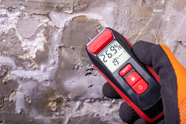 Best Mold Testing and Inspection Services in Priceville, AL