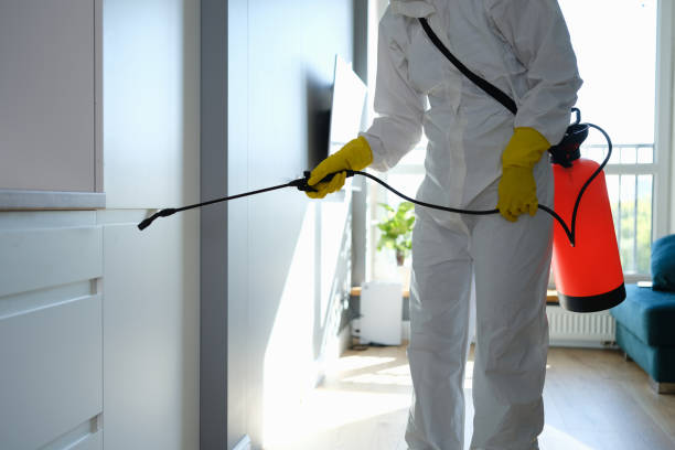 Best HVAC Mold Remediation in Priceville, AL